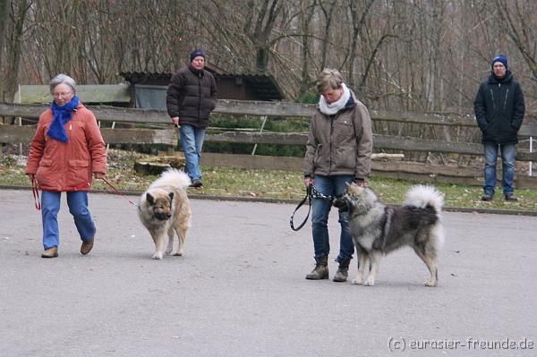 (Foto Goslar) Koerung Benno_14.03.2015_IMG_6879.png